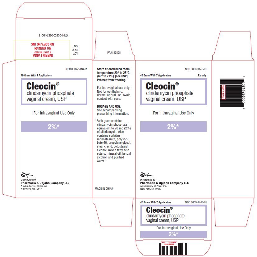 PRINCIPAL DISPLAY PANEL - 40 g Tube Carton