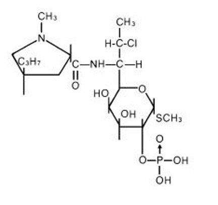 Price Of Cleocin