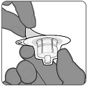 Step 4