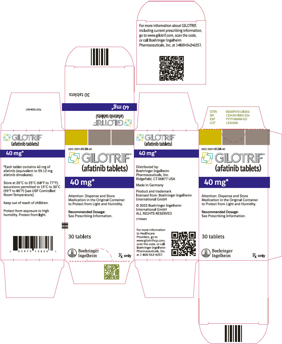 PRINCIPAL DISPLAY PANEL - 40 mg Bottle Carton