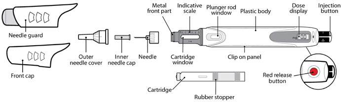 Figure B