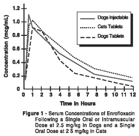 Baytril Dosage Chart For Rats