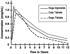 Clavamox Dosage Chart For Dogs