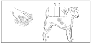 k9 advantix ii side effects dogs