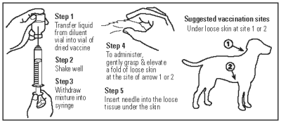 how to give puppy parvo shot