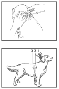 Advantage Multi For Dogs Dosage Chart