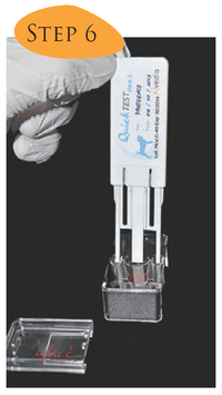 quick test canine dea drugs feline beside migration insert membrane holes allow holder legs well into vet