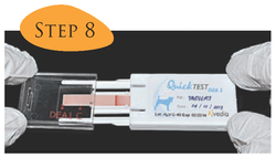 test quick dea canine drugs feline fix result plastic order read part vet