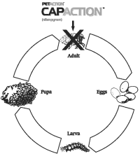 cap action flea pills for dogs