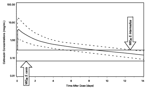 Convenia Dose Chart Cats